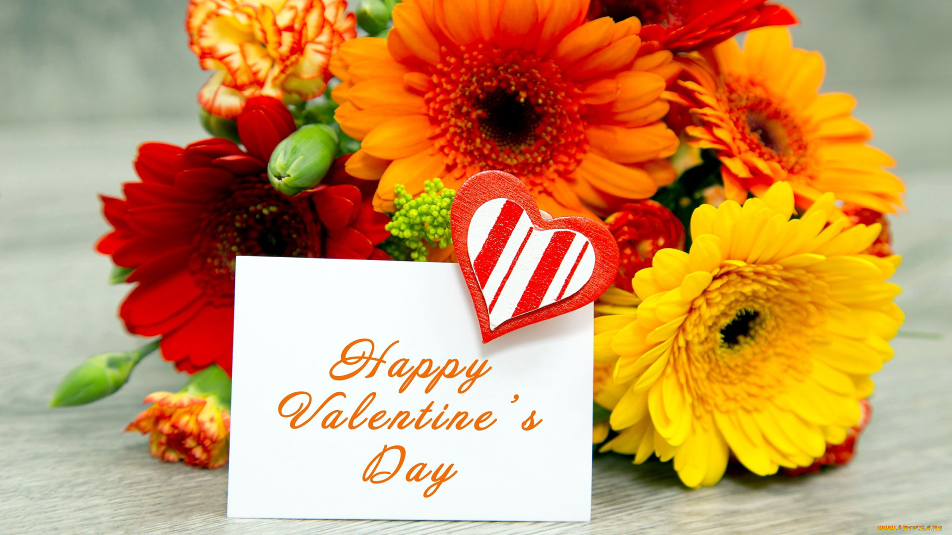 праздничные, день, святого, валентина, , сердечки, , любовь, букет, гвоздика, пожелание, надпись, герберы, сердечко