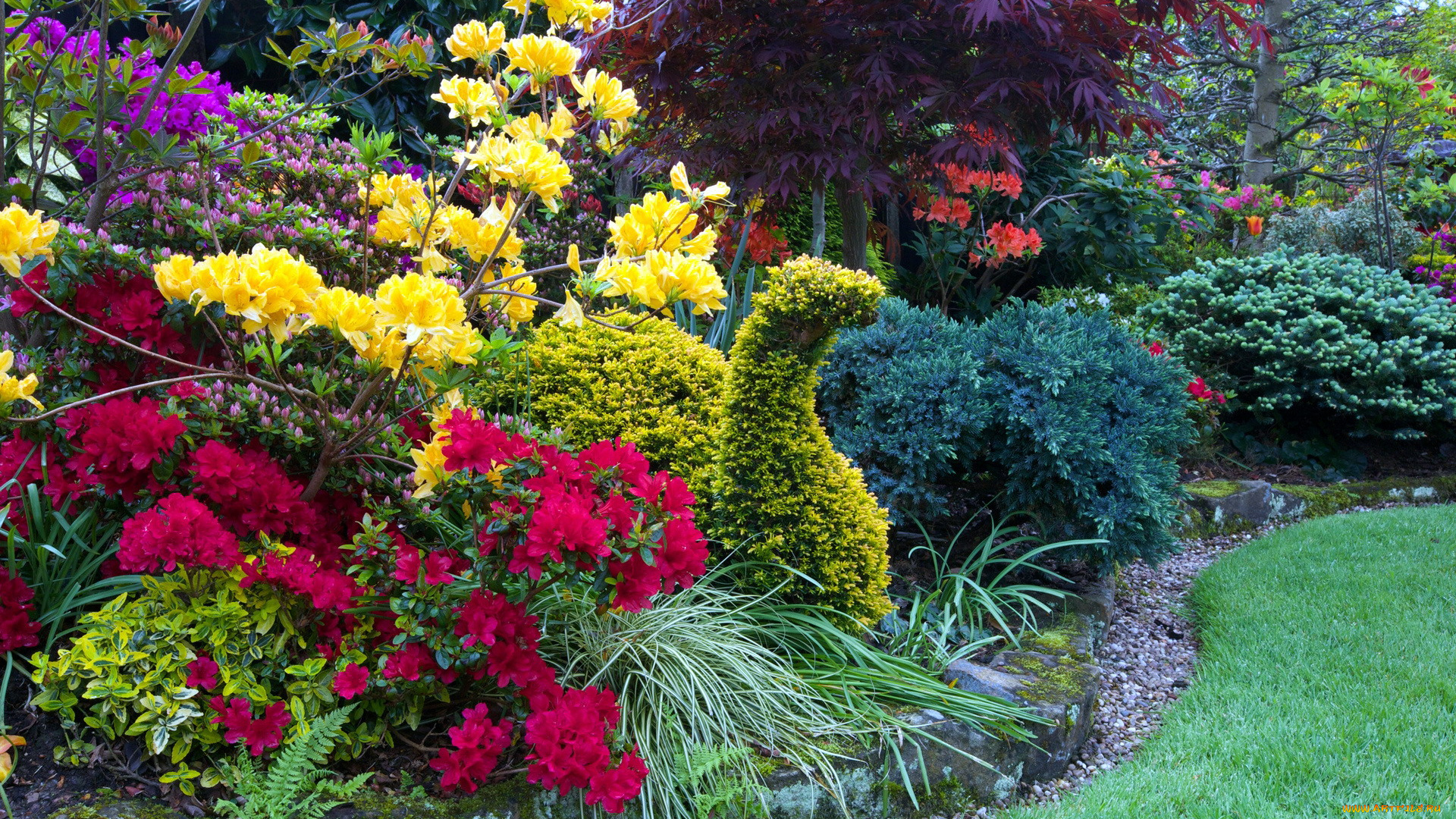 природа, парк, газон, клумба