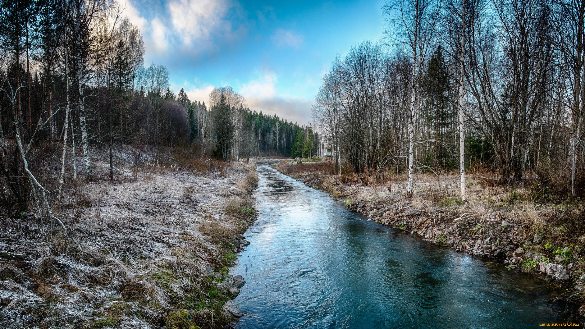 природа, реки, озера, лес, иней, ручей