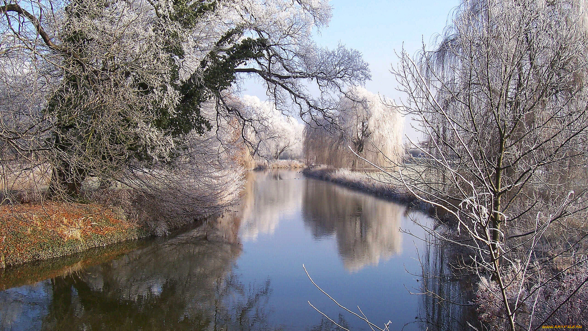 природа, реки, озера, река, лес