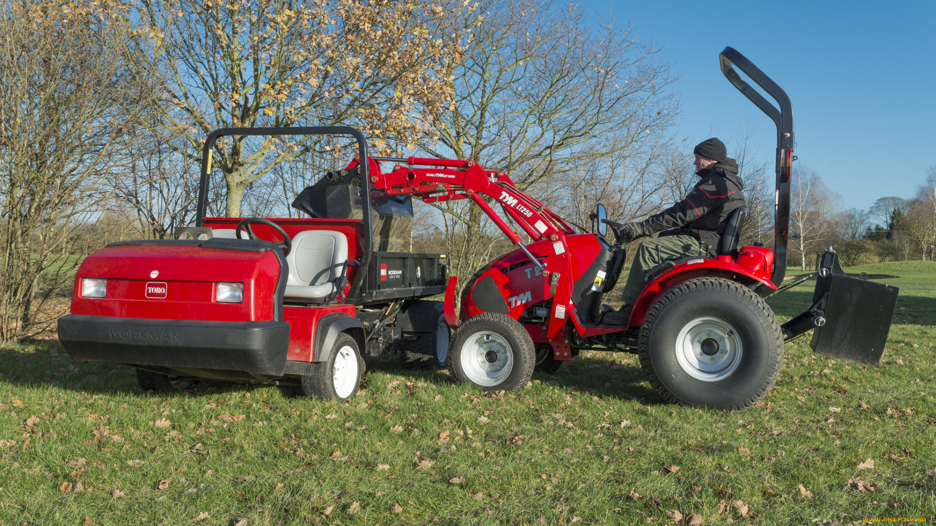 техника, фронтальные, погрузчики, tym