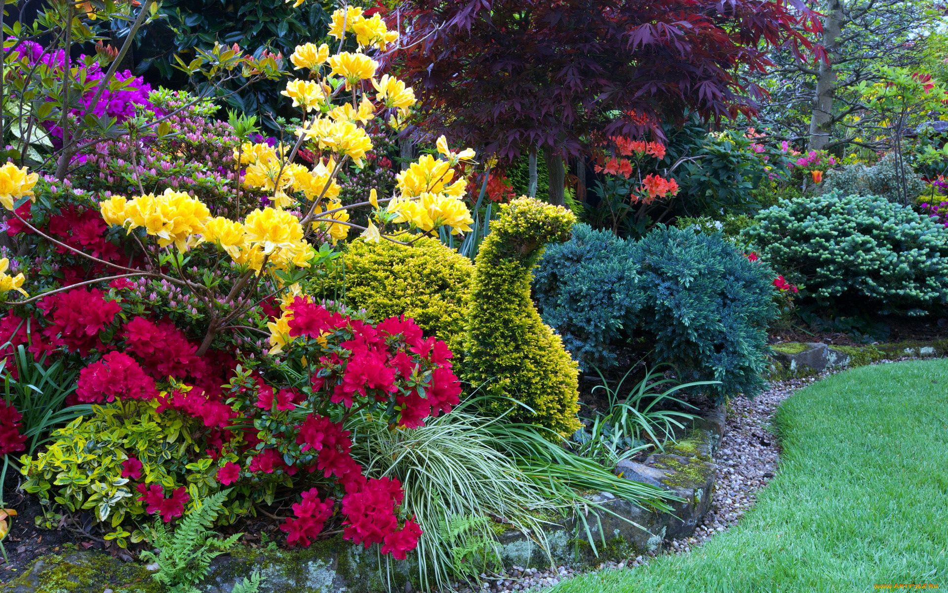 природа, парк, газон, клумба