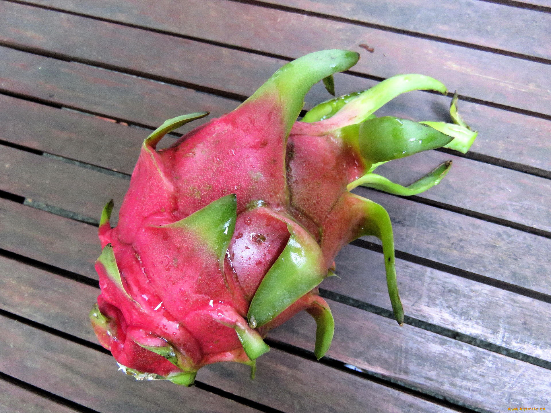 еда, питахайя, dragon-fruit, фрукт, экзотический