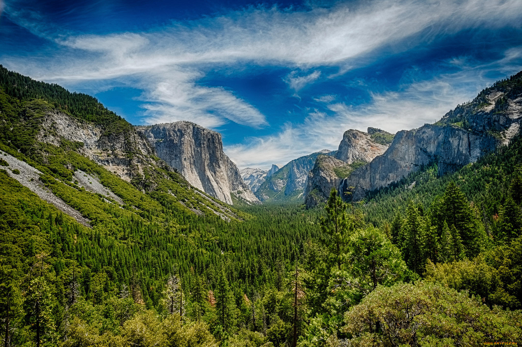 природа, горы, лес, облака