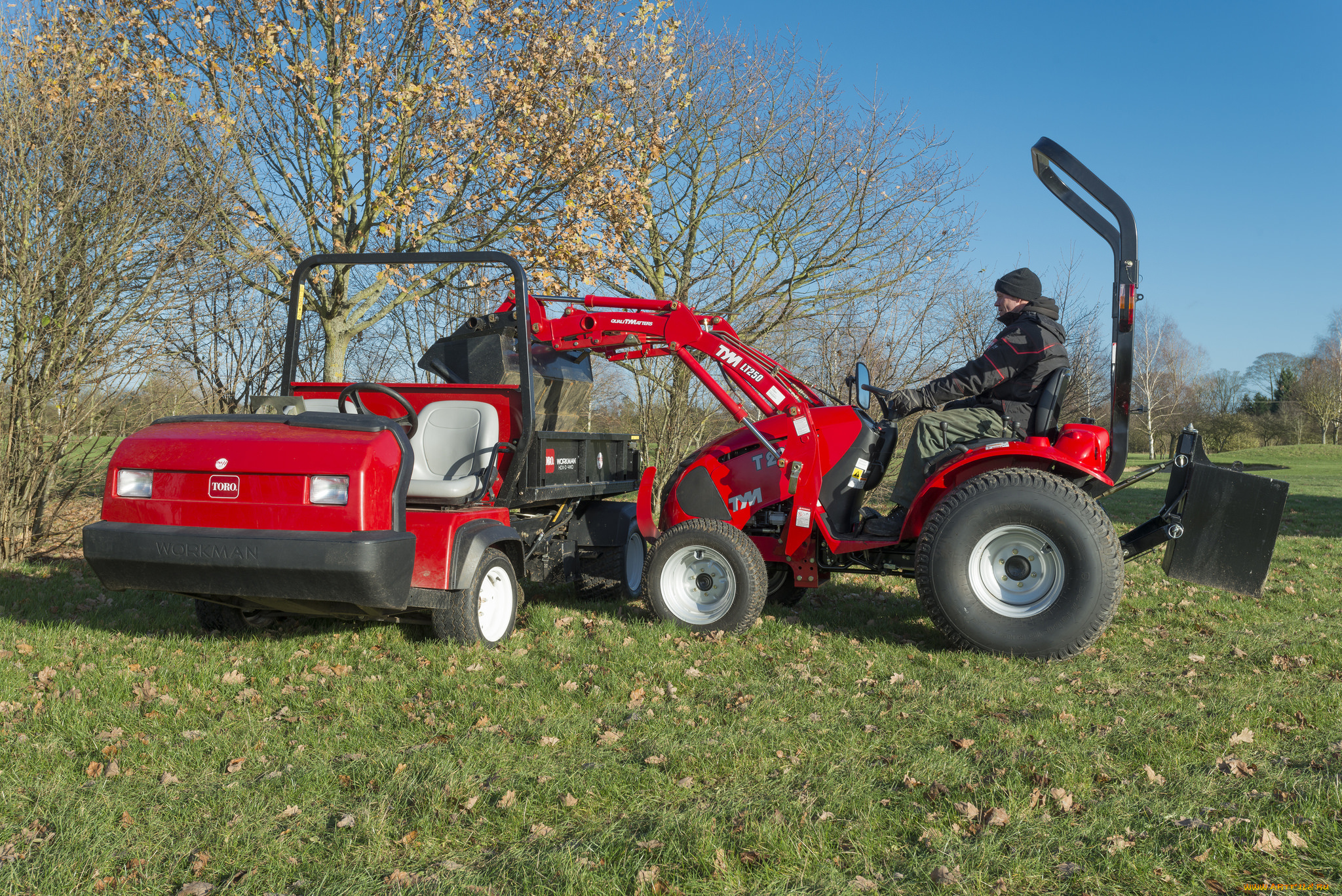 техника, фронтальные, погрузчики, tym