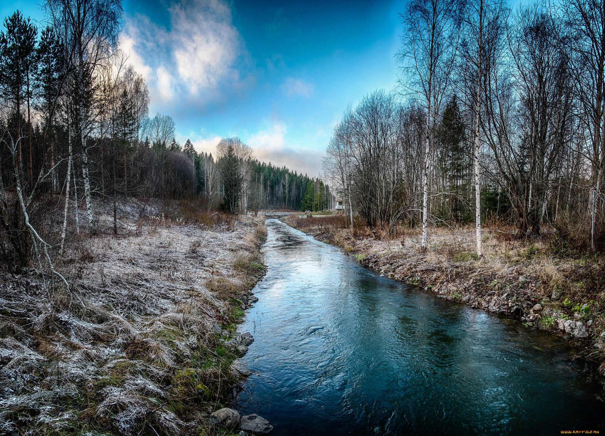 природа, реки, озера, лес, иней, ручей