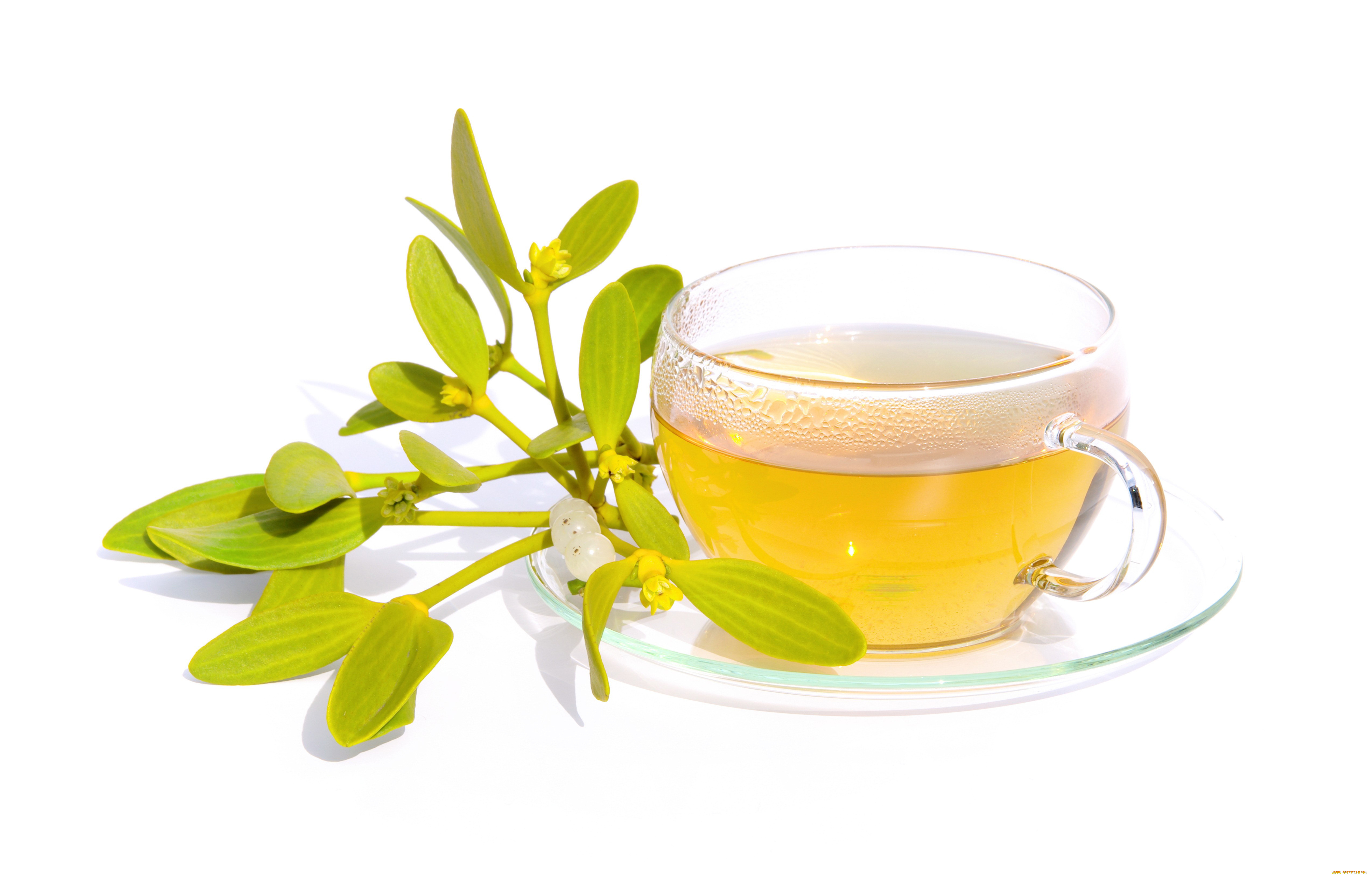 еда, напитки, , Чай, чашка, блюдце, чай