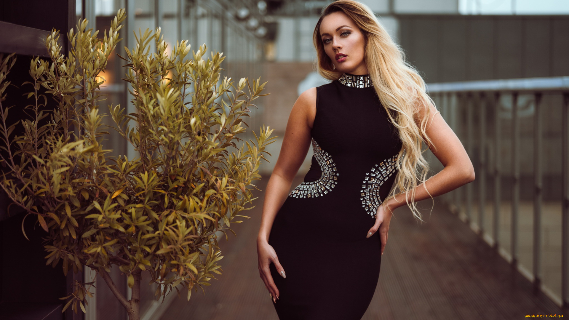 девушка, девушки, -unsort, , блондинки, , светловолосые, модель, olya, alessandra