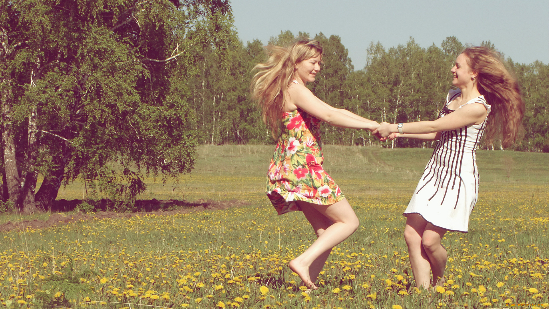 подружки, девушки, -unsort, , группа, девушек, поляна, деревья, танец, лето