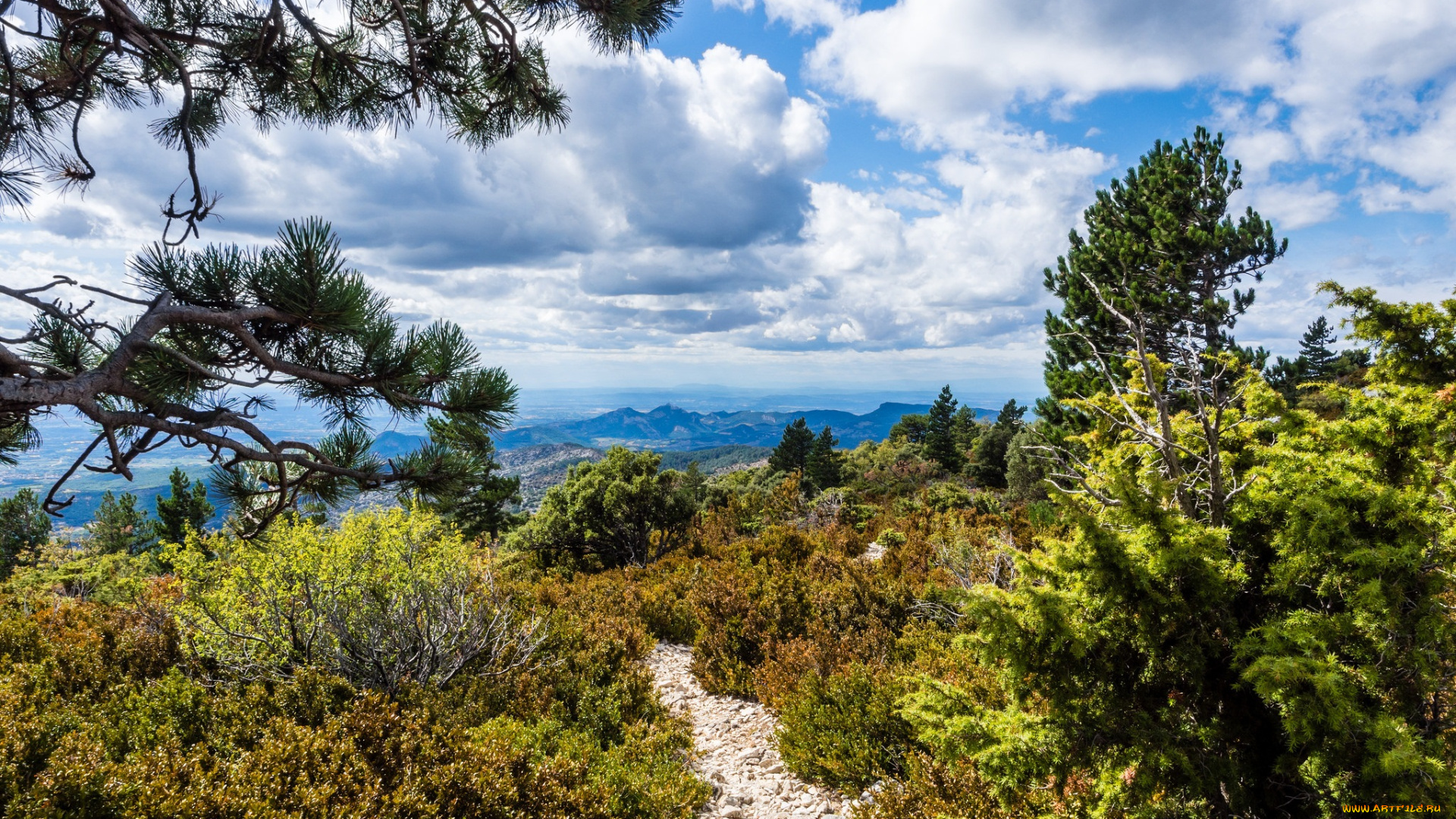 природа, дороги, простор