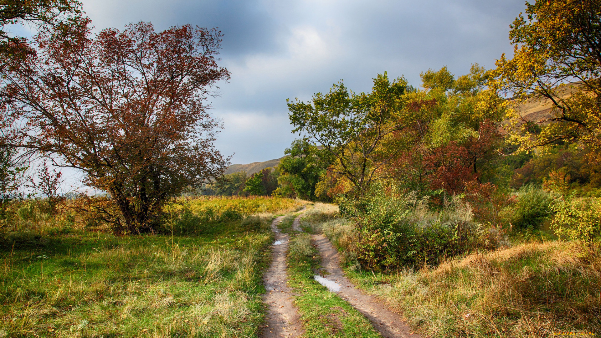 природа, дороги, простор