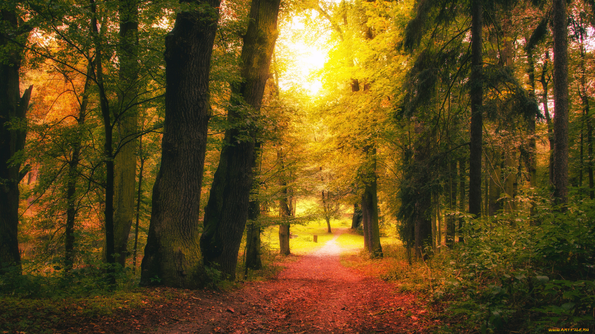 природа, дороги, простор