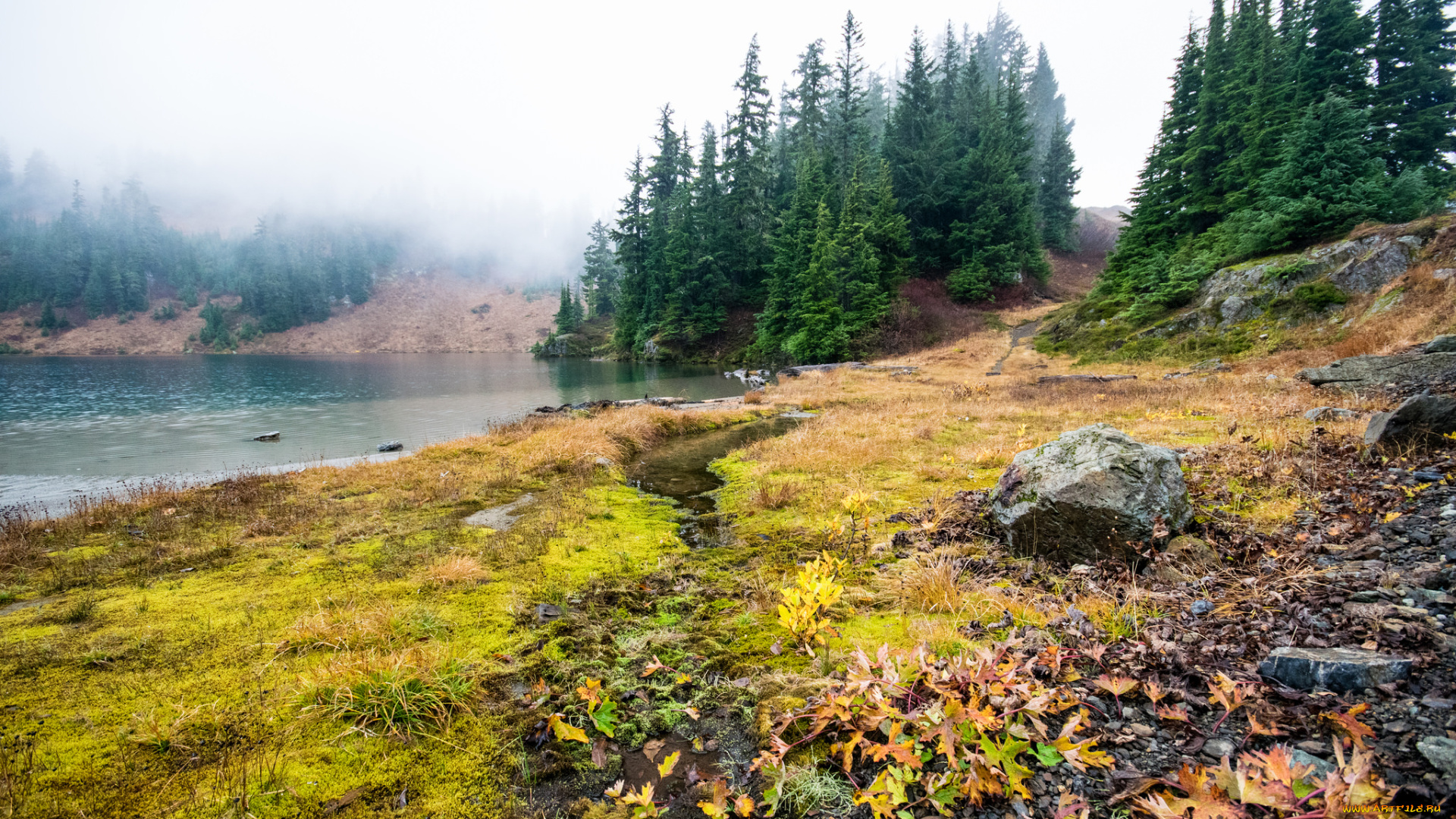 природа, реки, озера, простор