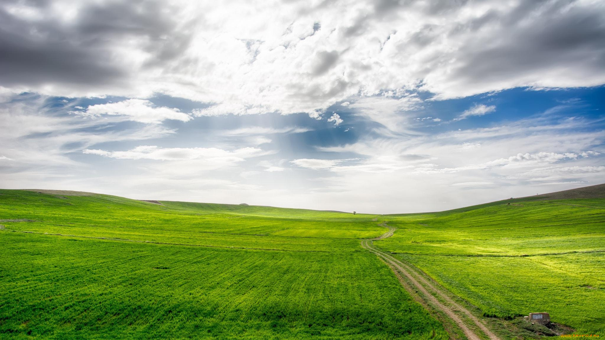 природа, поля, дорога, поле, облака, небо