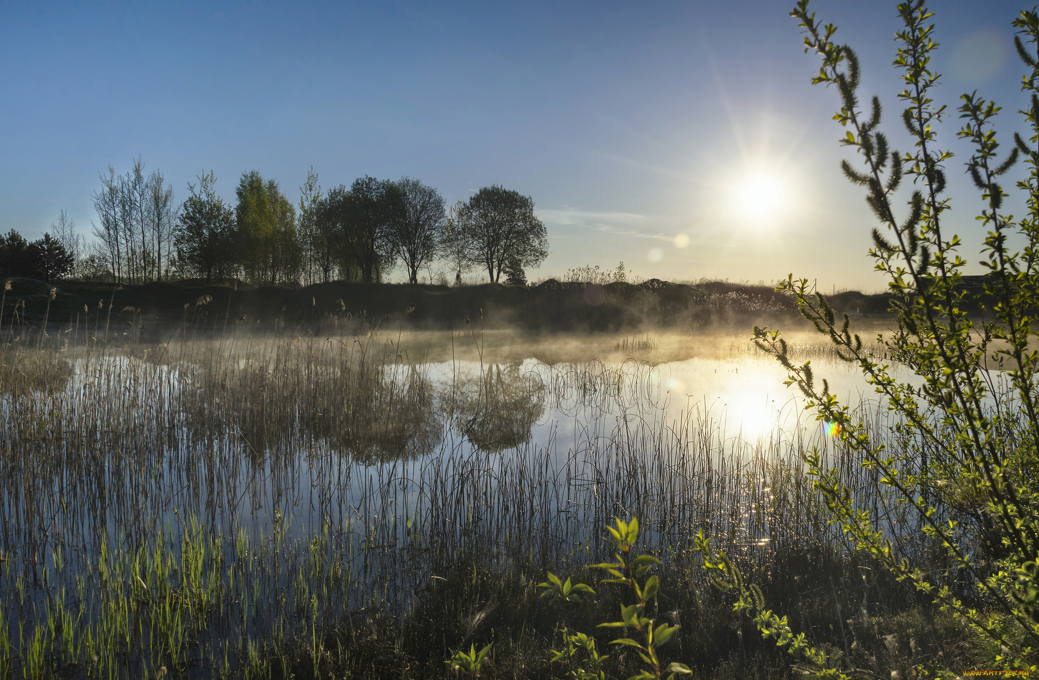 природа, реки, озера, простор