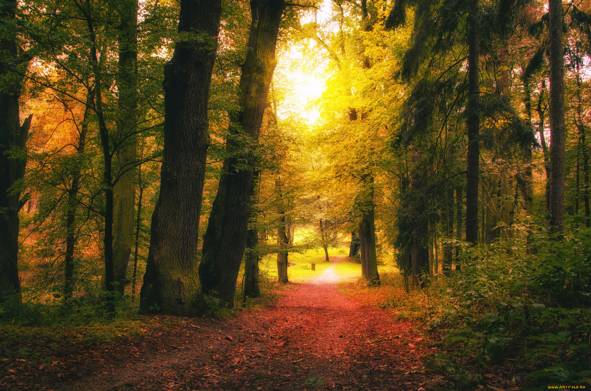 природа, дороги, простор