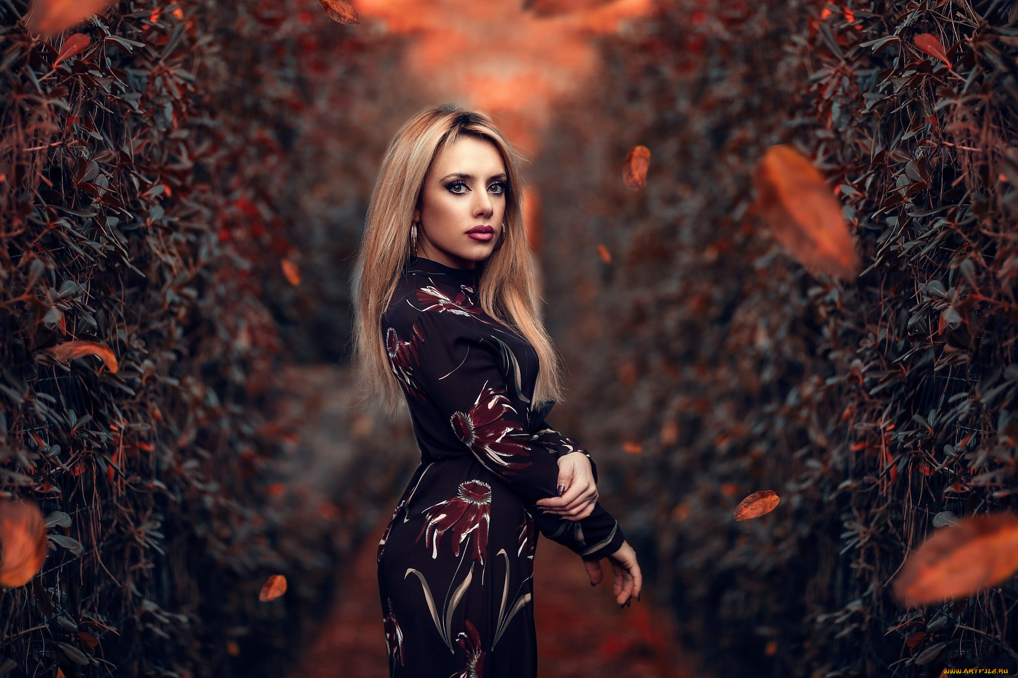 девушка, девушки, -unsort, , блондинки, , светловолосые, модель