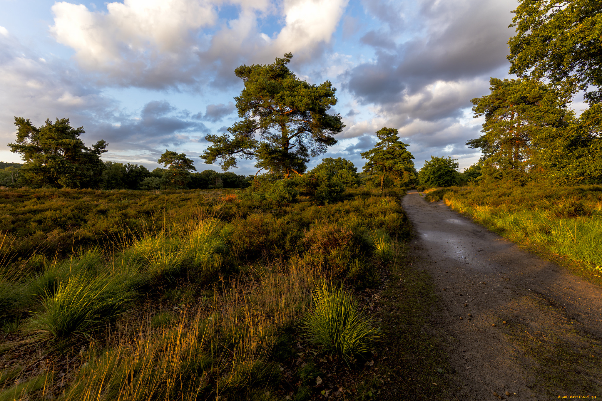 природа, дороги, простор