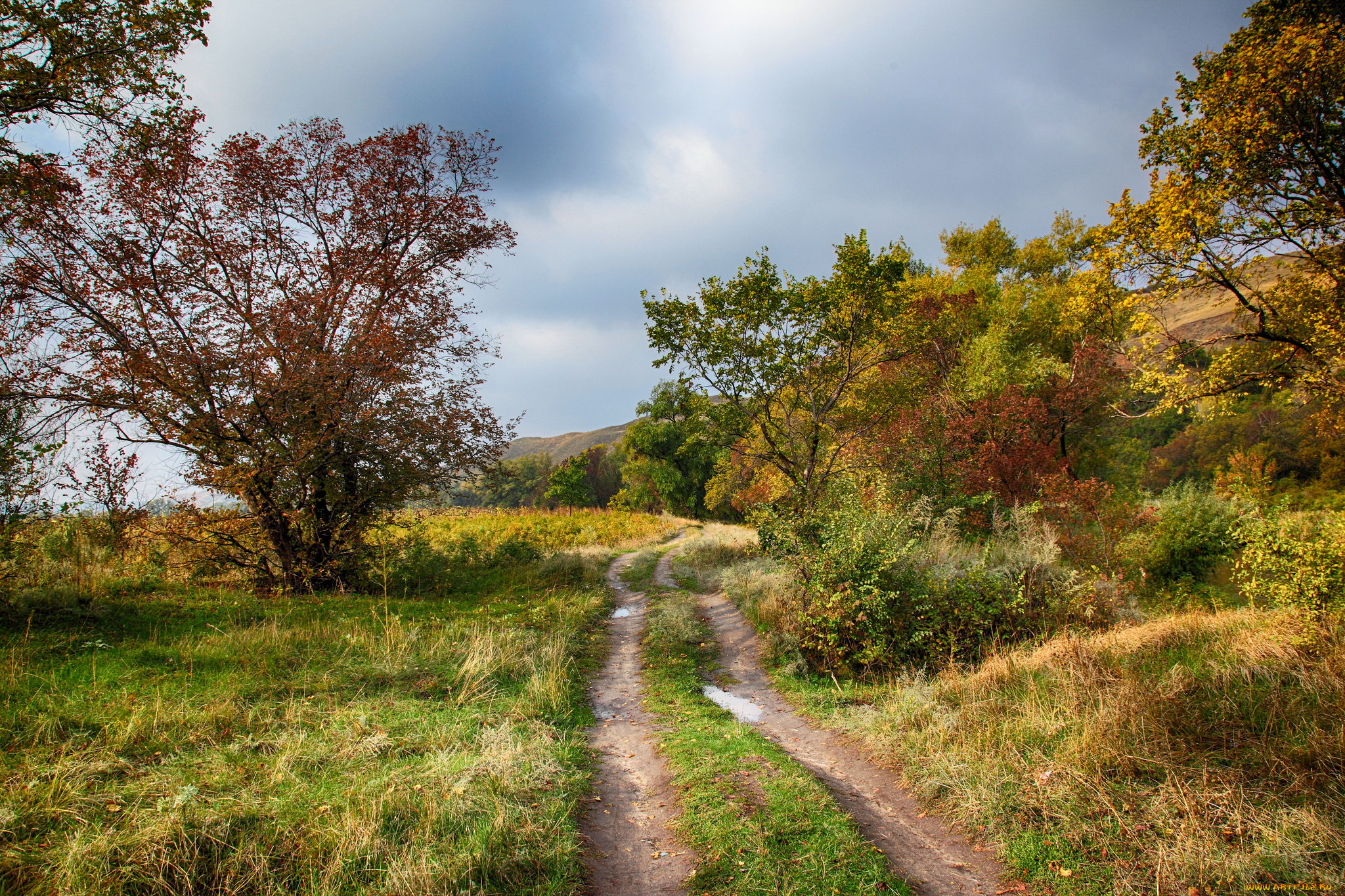 природа, дороги, простор