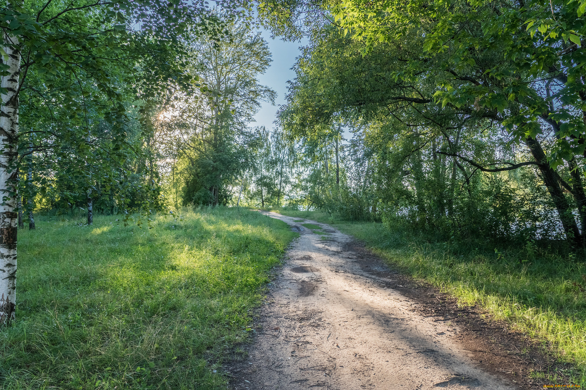 природа, дороги, простор