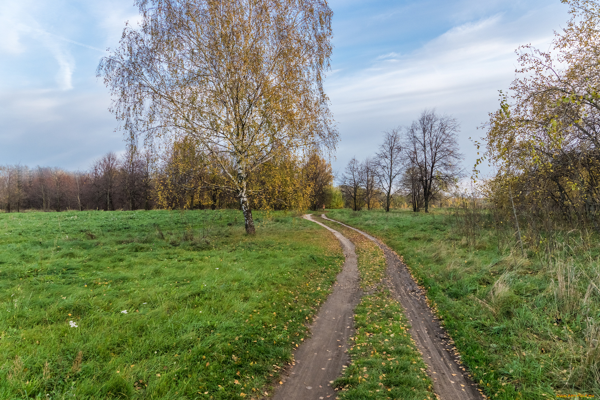 природа, дороги, простор