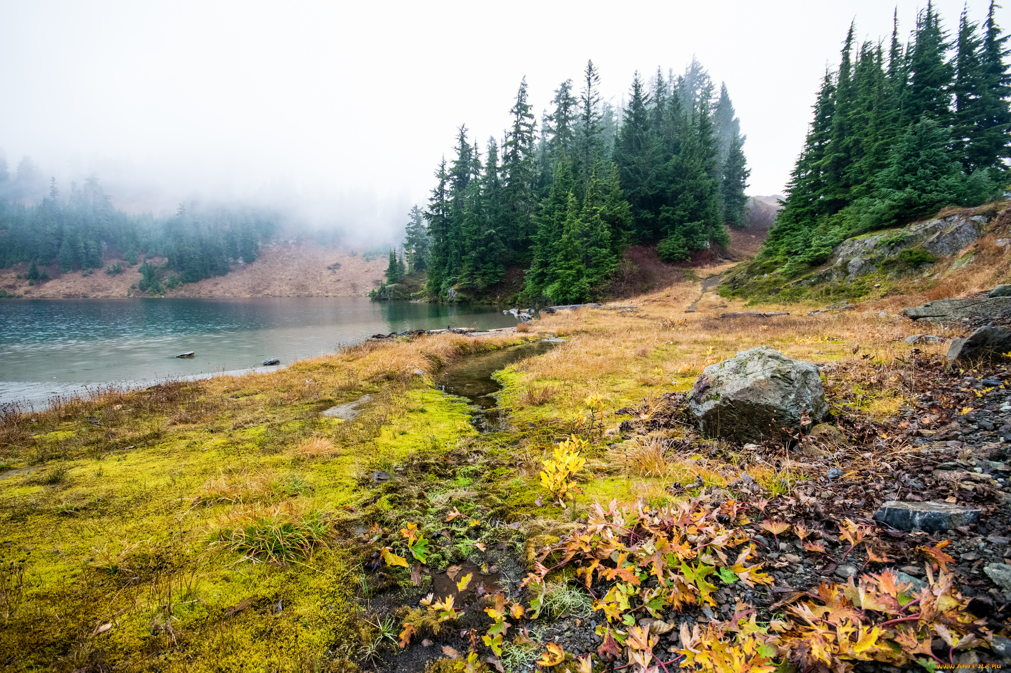 природа, реки, озера, простор