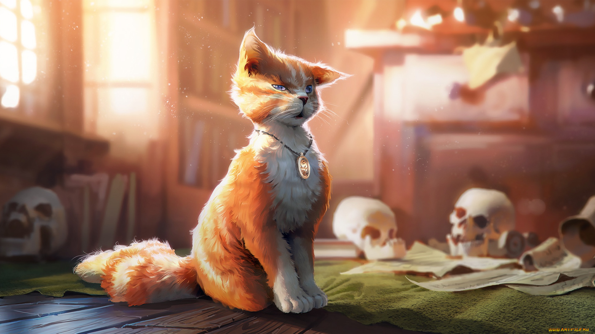 рисованное, животные, , коты, by, morten, solgaard, pedersen