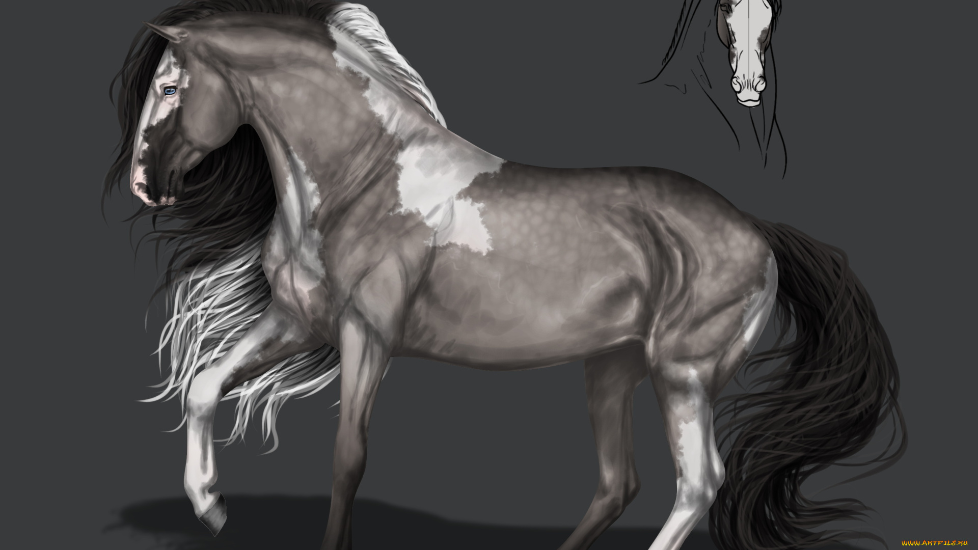 рисованное, животные, , лошади, конь, фон, грива