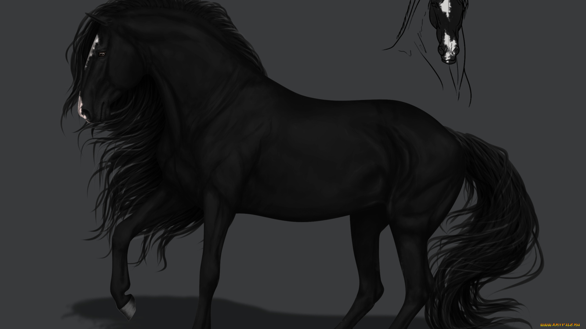 рисованное, животные, , лошади, конь, фон, грива