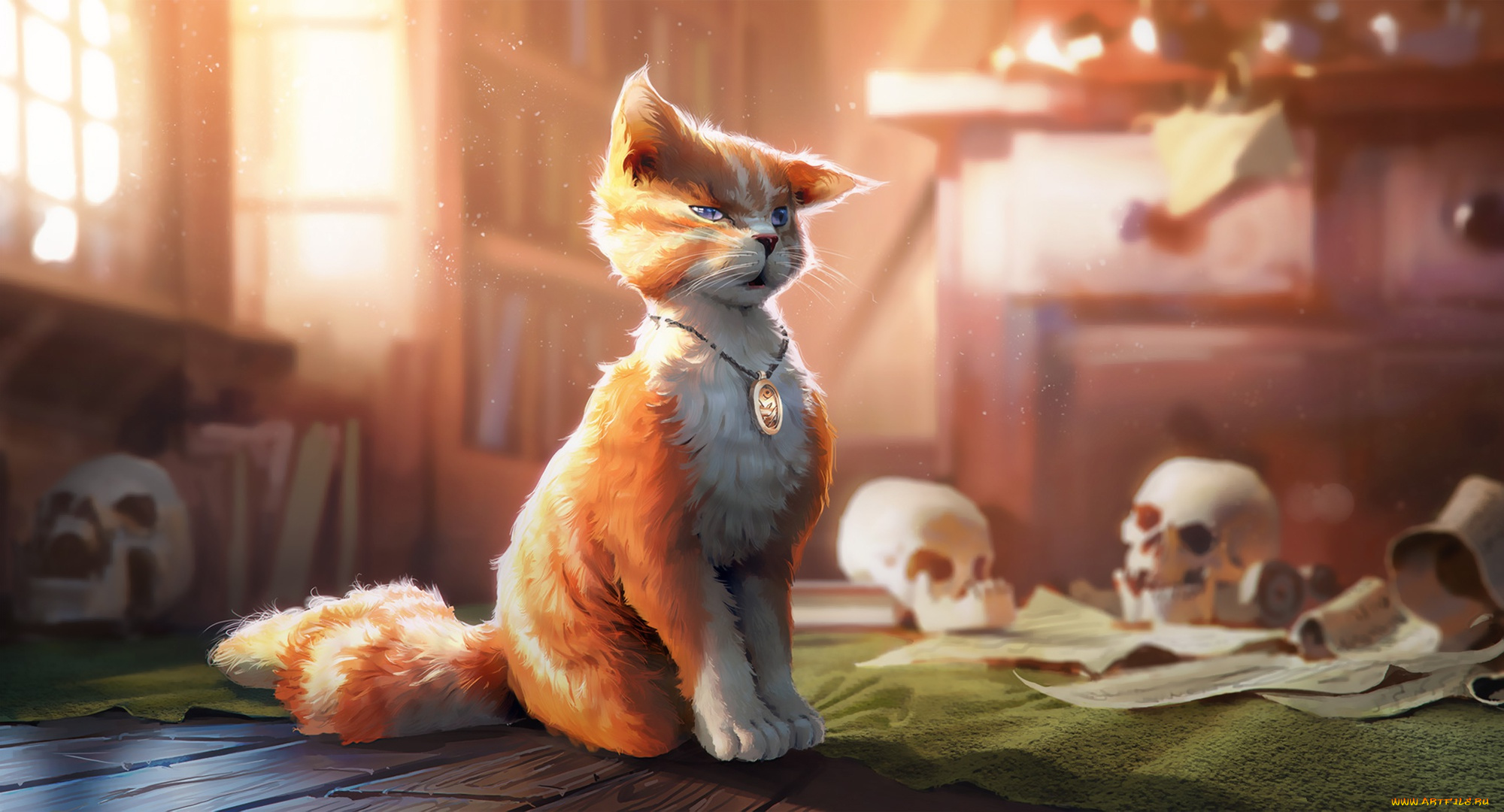 рисованное, животные, , коты, by, morten, solgaard, pedersen