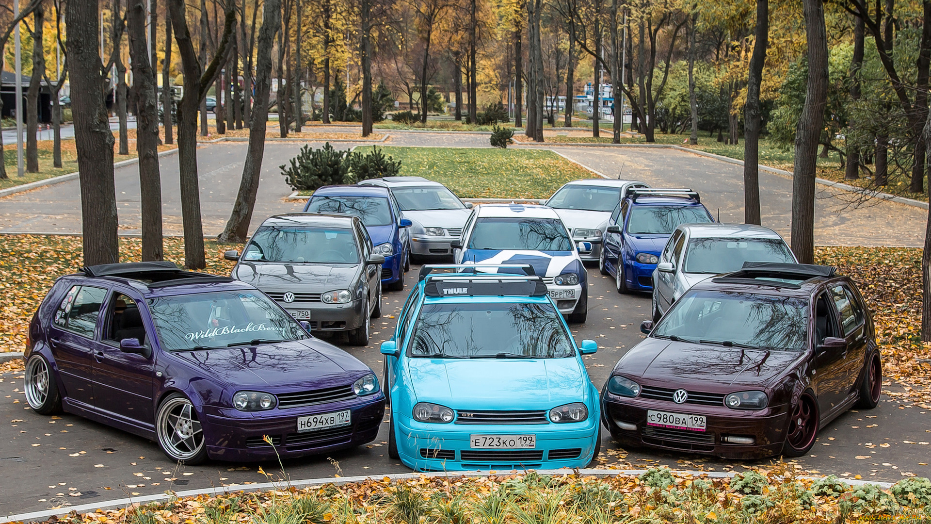 автомобили, volkswagen, golf