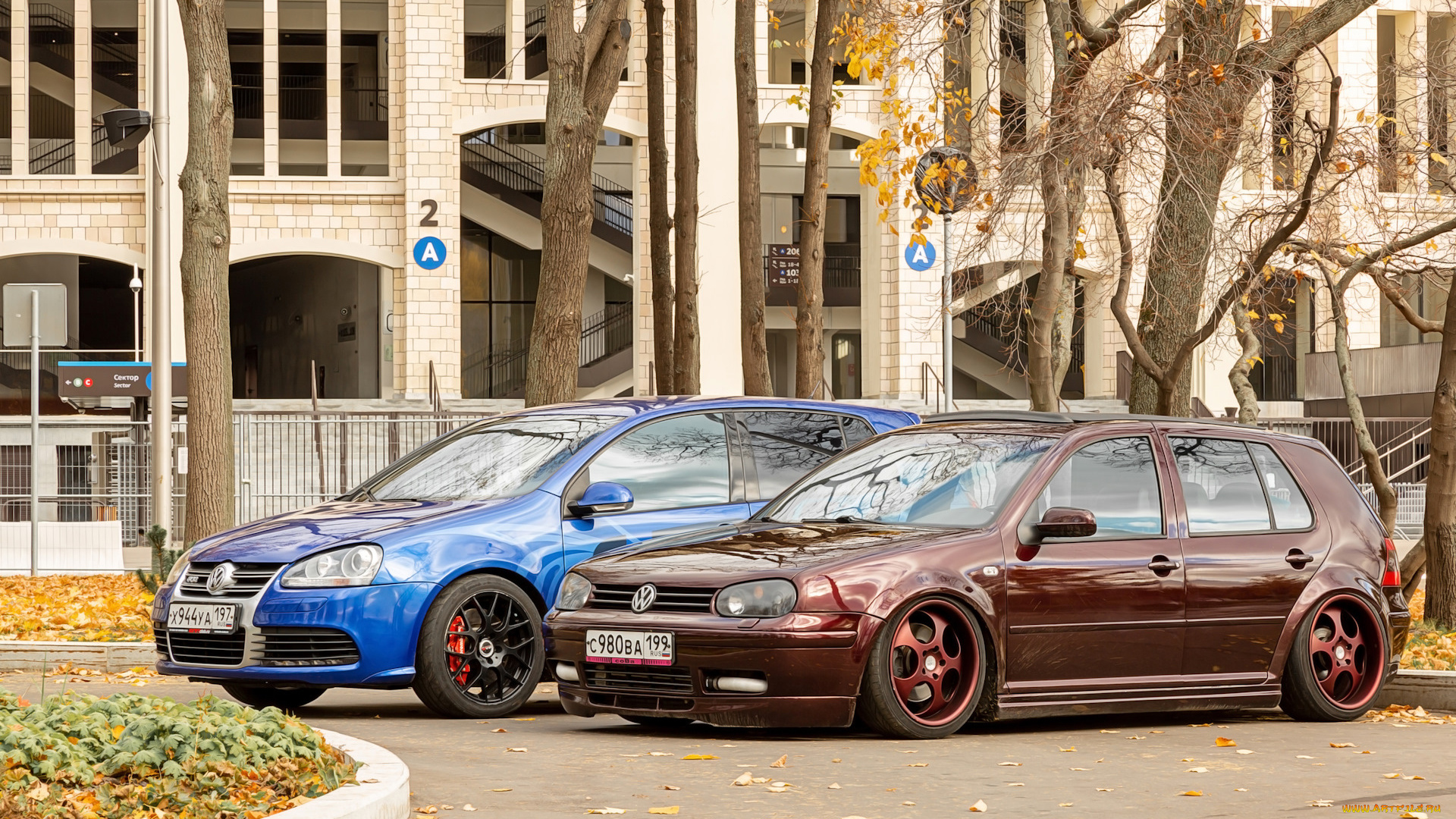 автомобили, volkswagen, golf