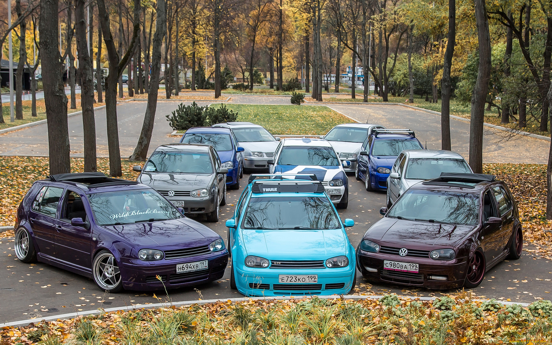 автомобили, volkswagen, golf