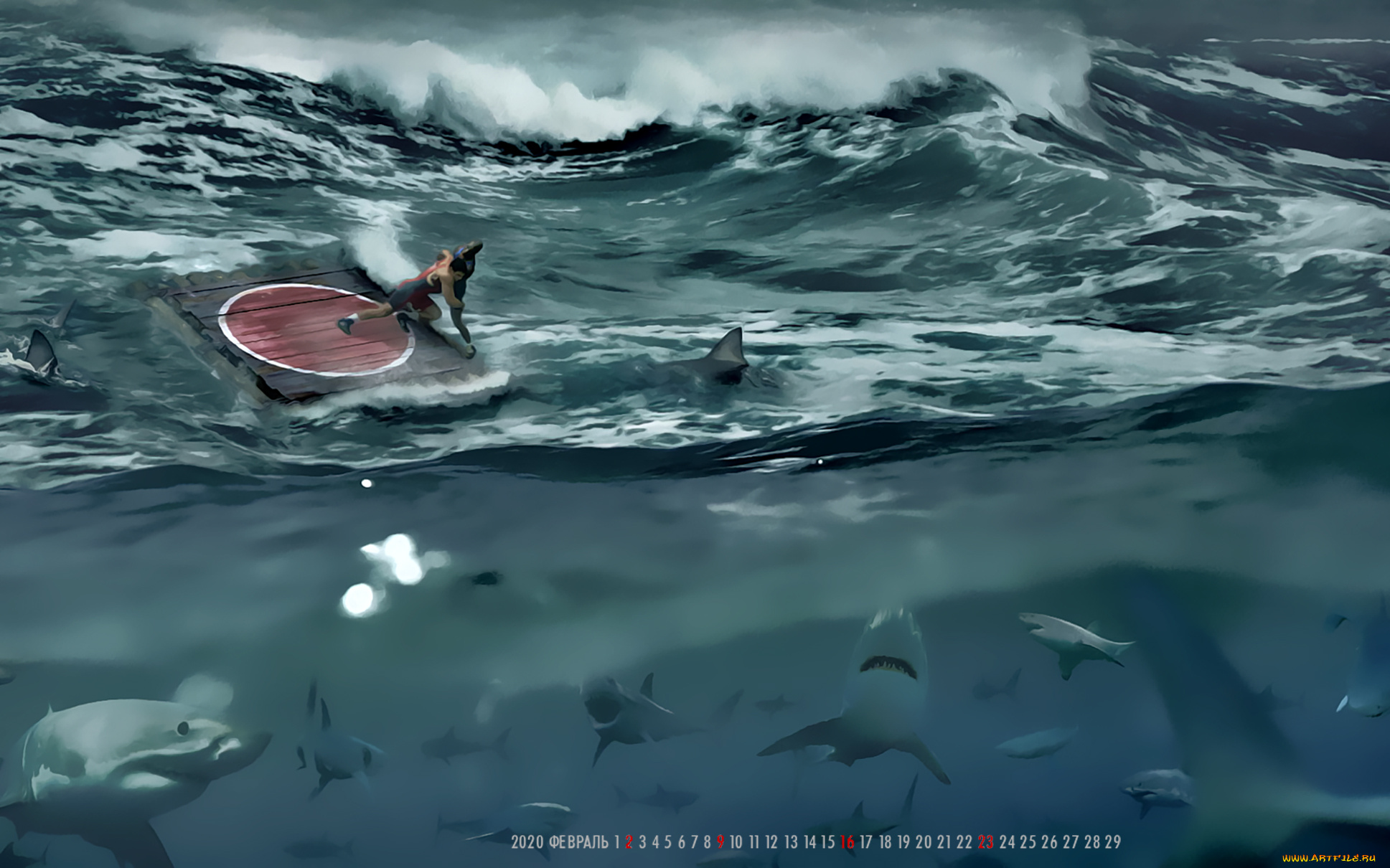 календари, компьютерный, дизайн, водоем, акула, борцы, прием, рыба, вода, calendar, 2020
