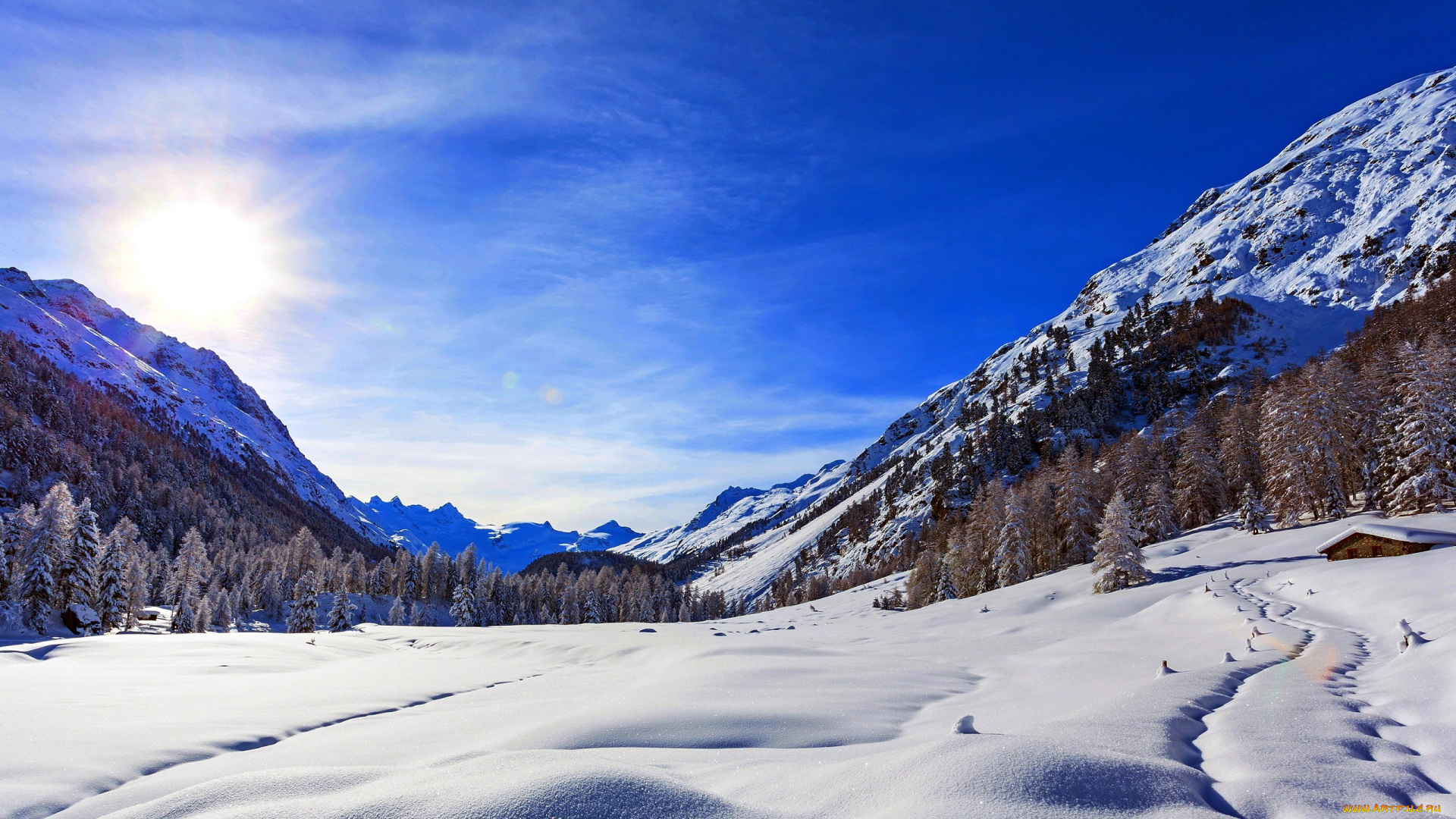 природа, горы, небо, снег, деревья