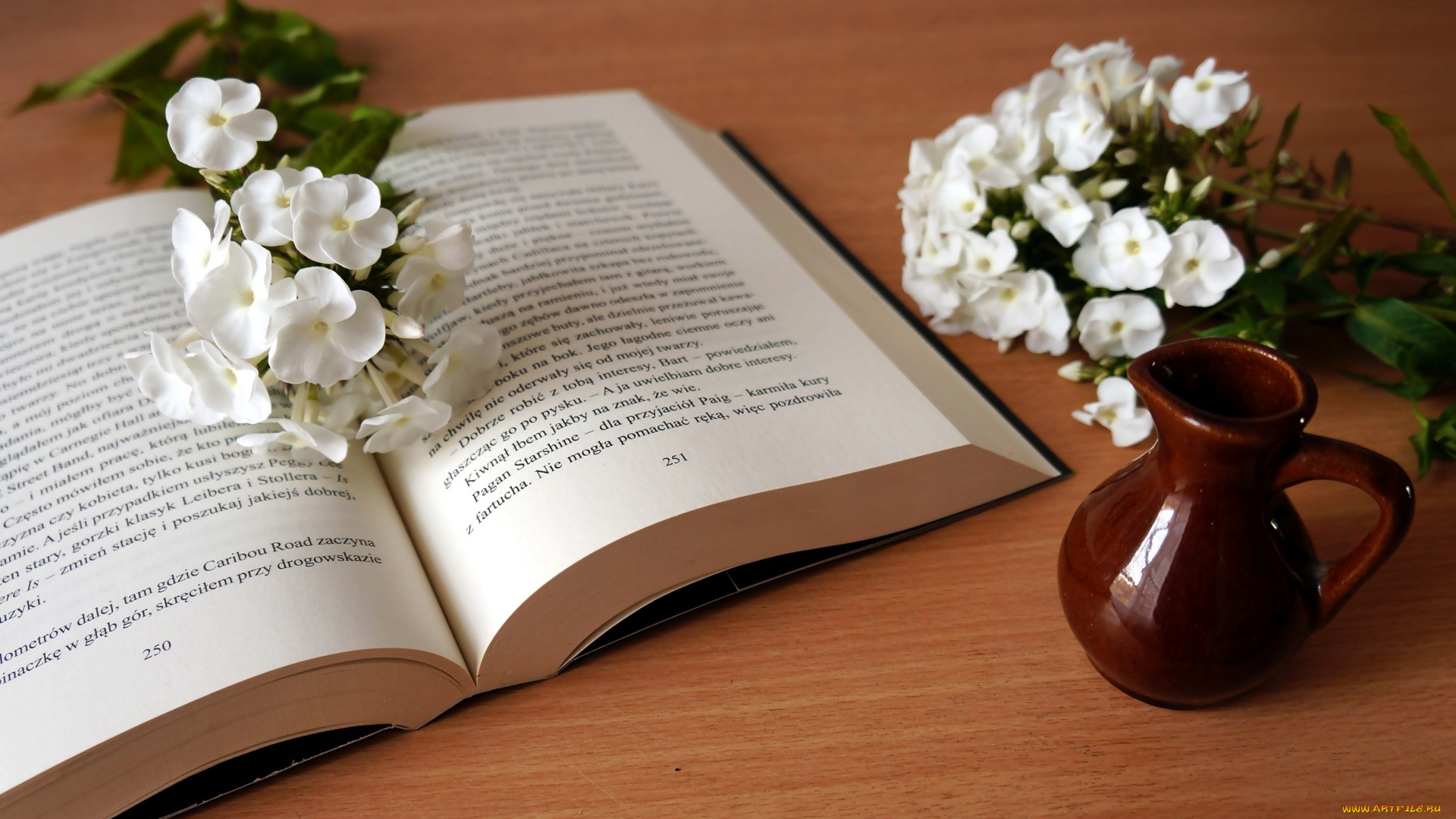 разное, канцелярия, , книги, книга, кувшин, флоксы, белые