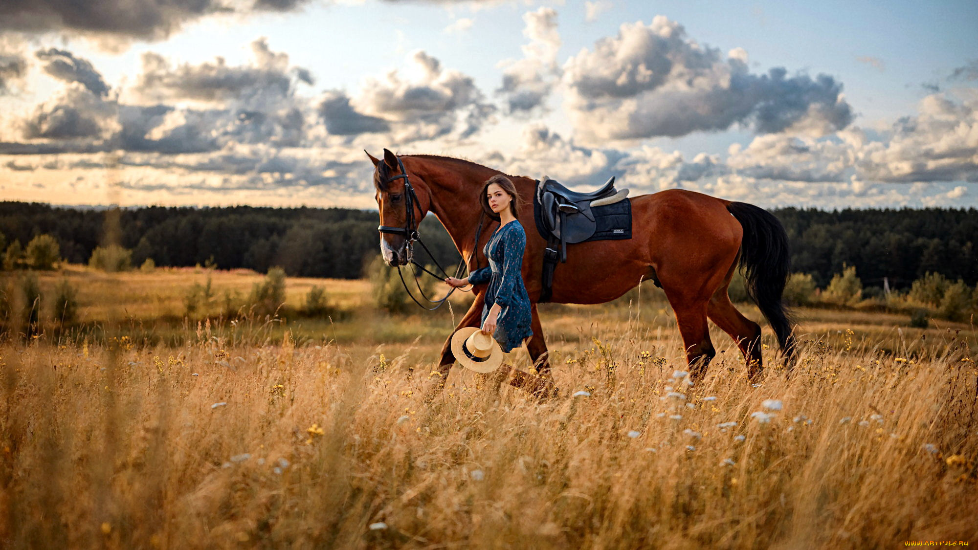 девушки, -, брюнетки, , шатенки, луг, трава, лето, облака, брюнетка, лошадь, шляпа