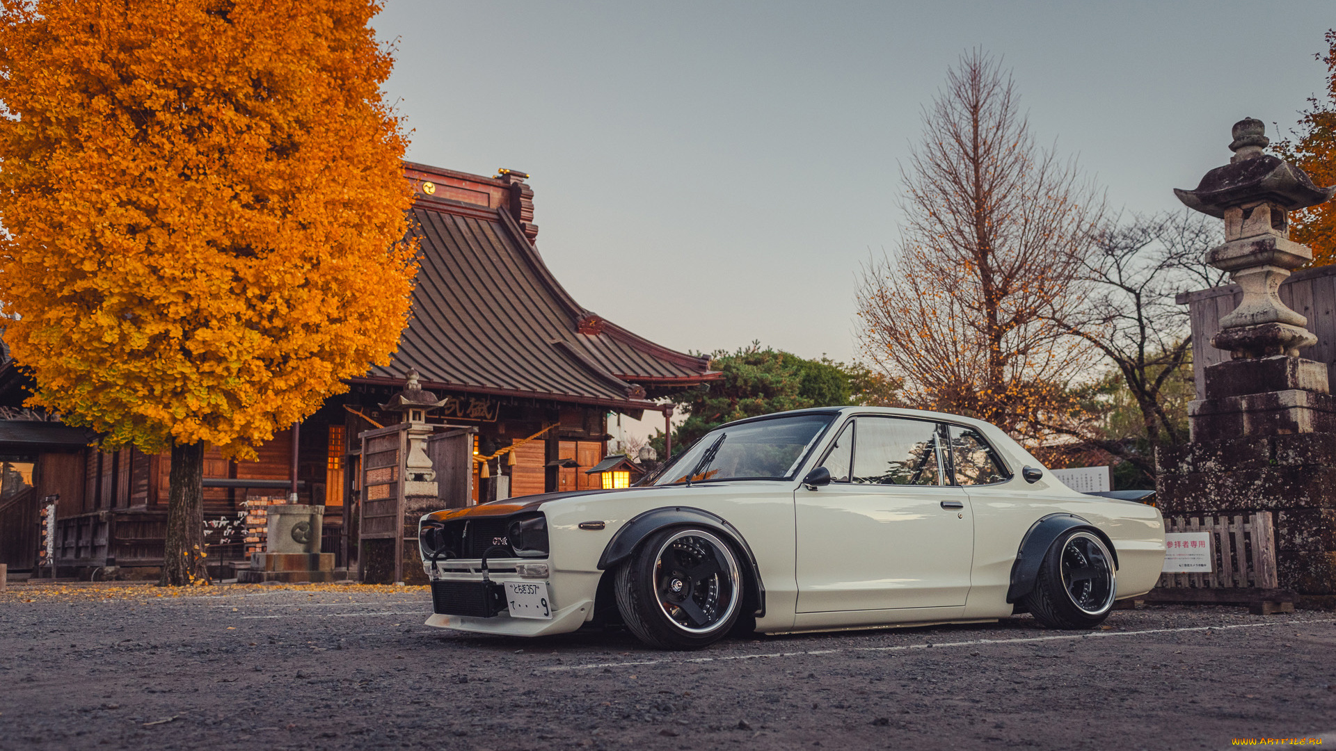 автомобили, nissan, datsun