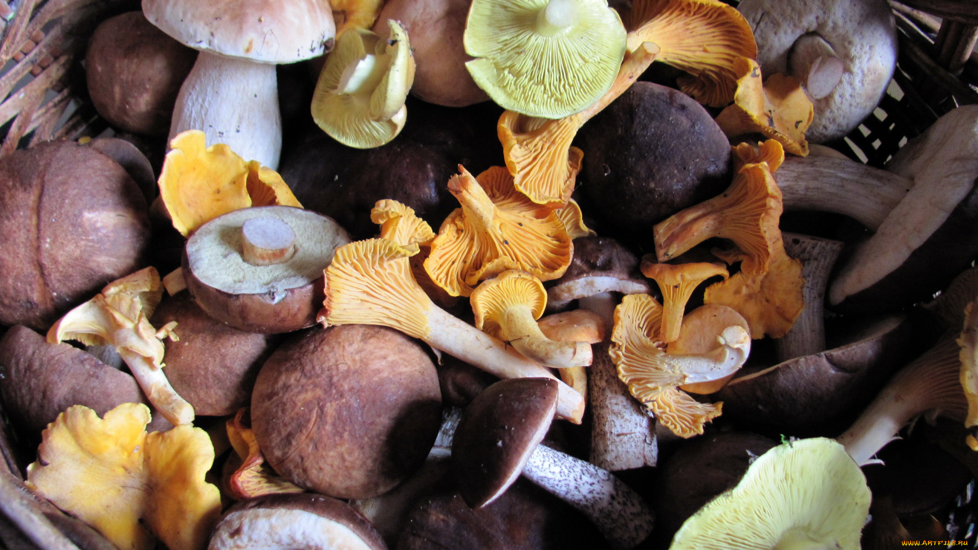 еда, грибы, , грибные, блюда, грибная, смесь