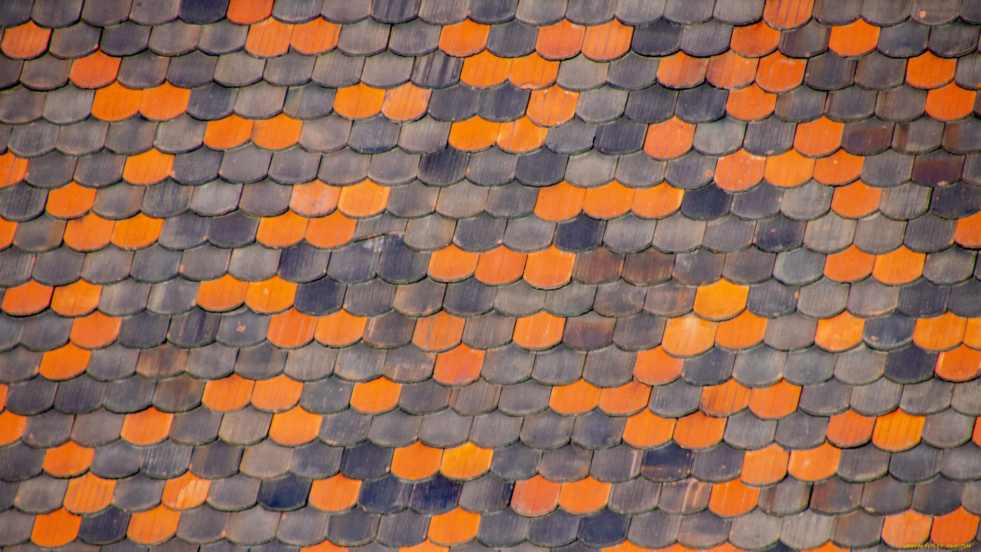 разное, текстуры, черепица