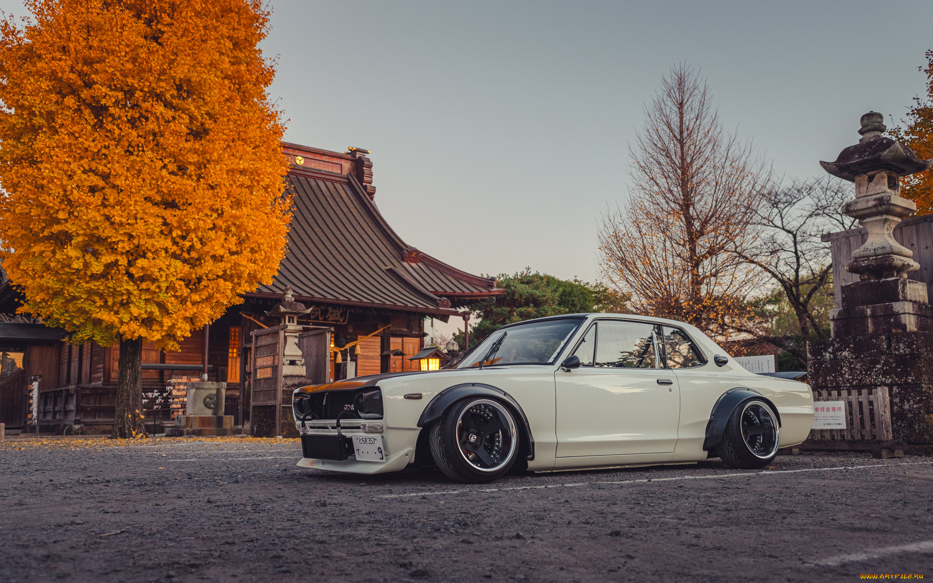 автомобили, nissan, datsun