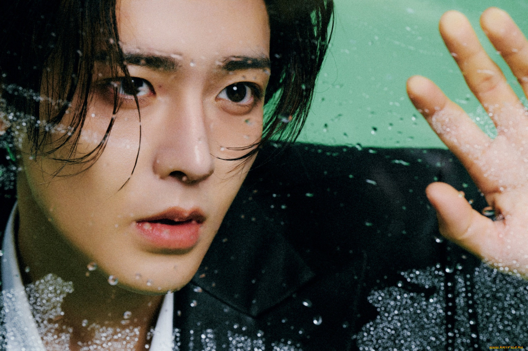 мужчины, hou, ming, hao, хоу, мин, хао