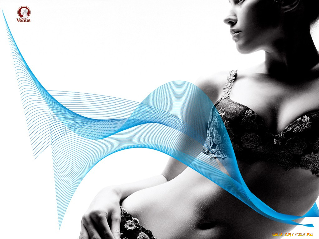 venus, бренды