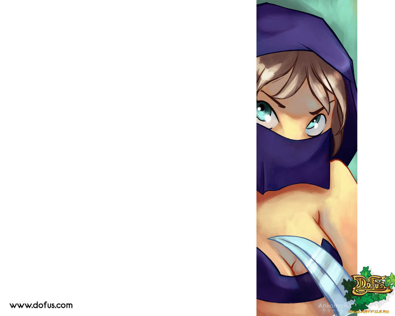 видео, игры, dofus