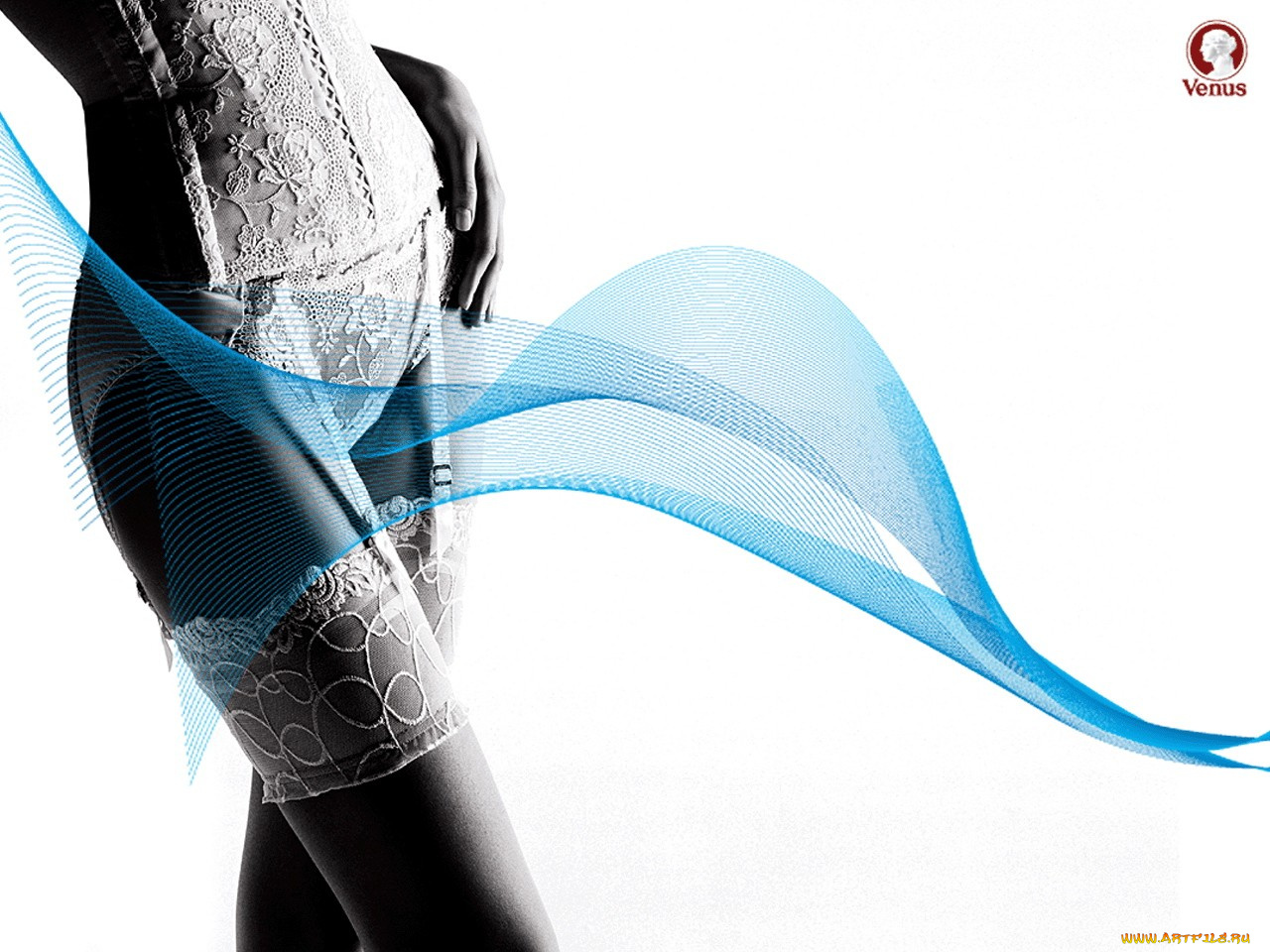 venus, бренды