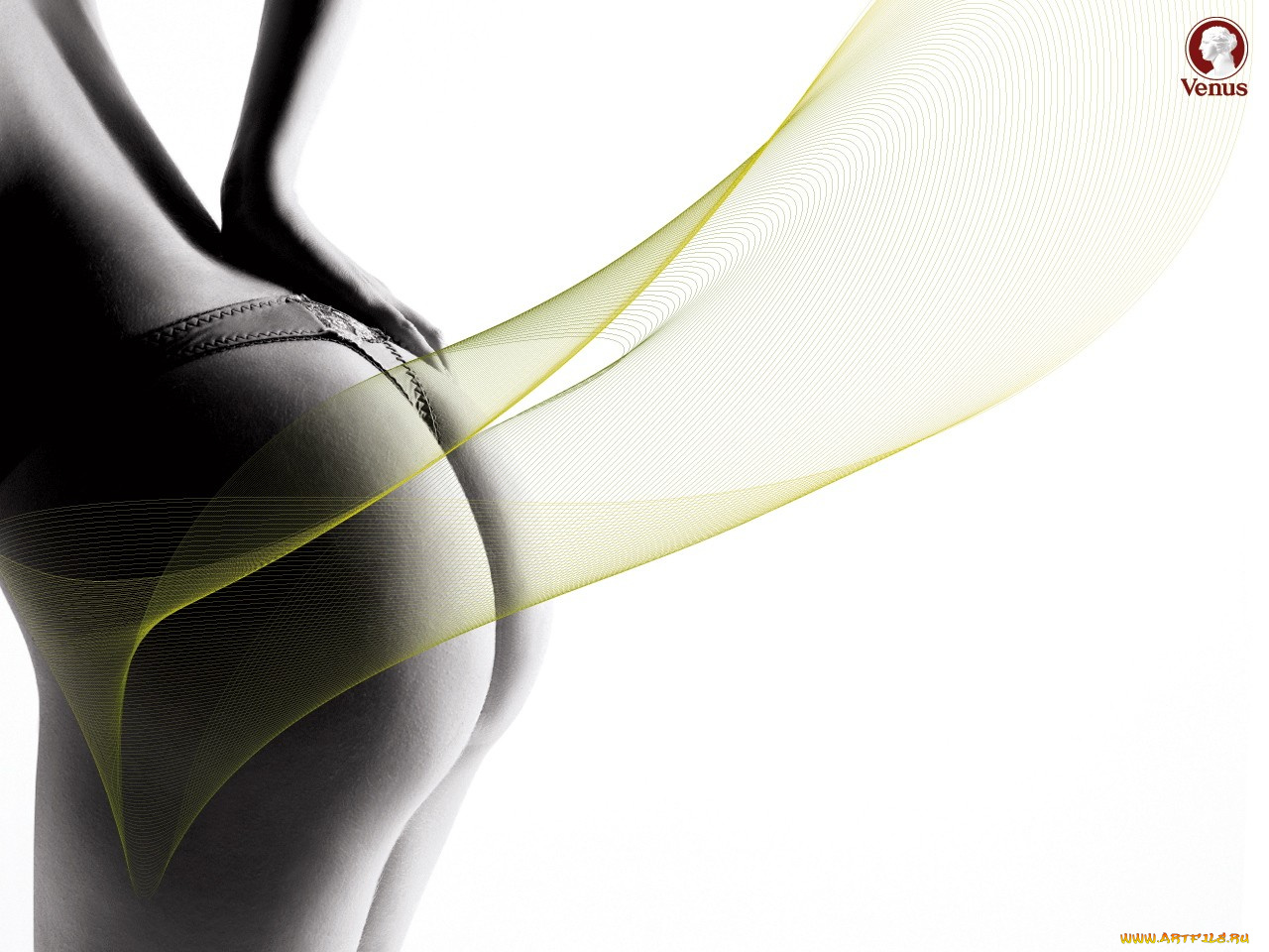 venus, бренды