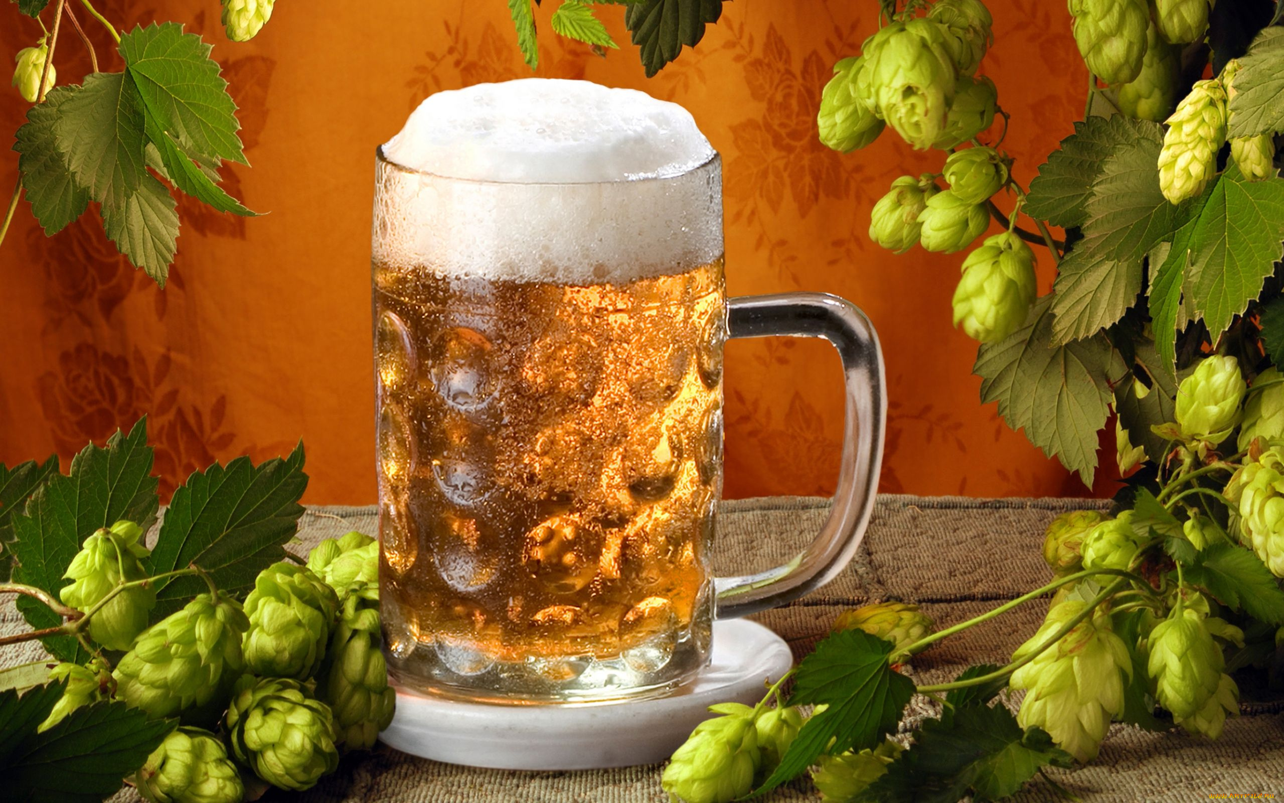 еда, напитки, пиво