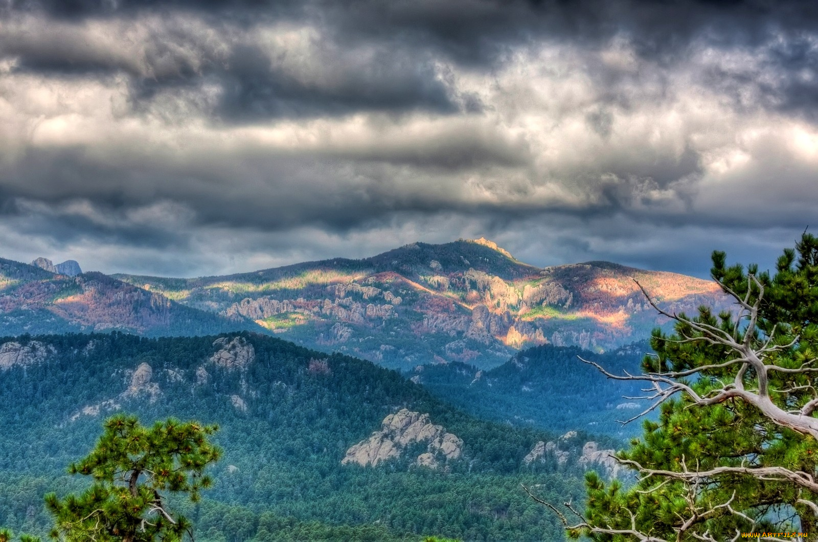 природа, горы, тучи, лес, деревья