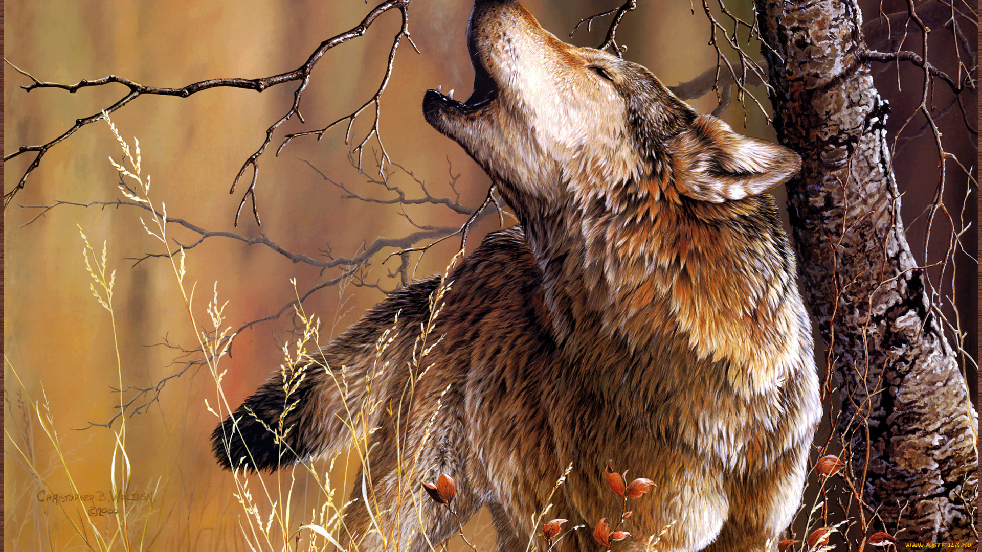 christoper, walden, in, tune, with, nature, рисованные, дерево, волк, b, арт