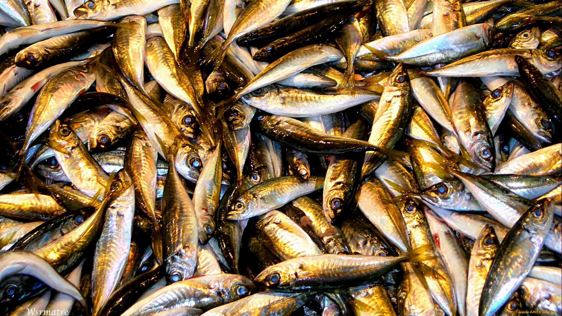 еда, рыба, морепродукты, суши, роллы, анчоусы